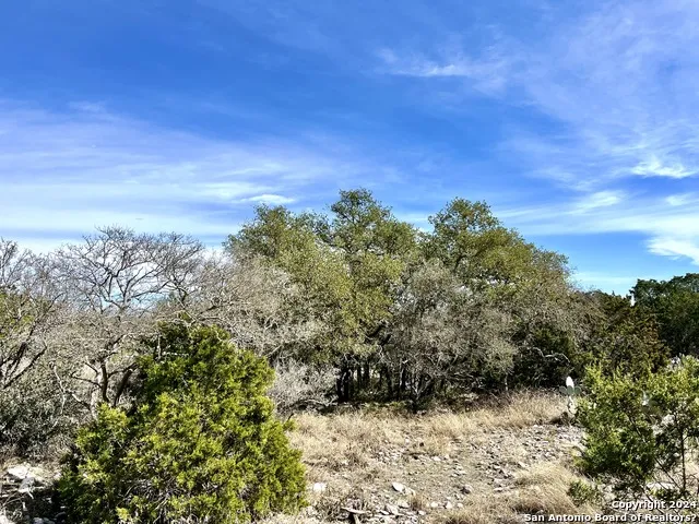 0 SD63538 Rocksprings, TX 78880