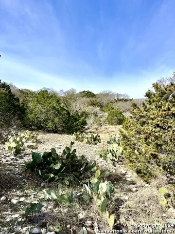0 SD63538 Rocksprings, TX 78880