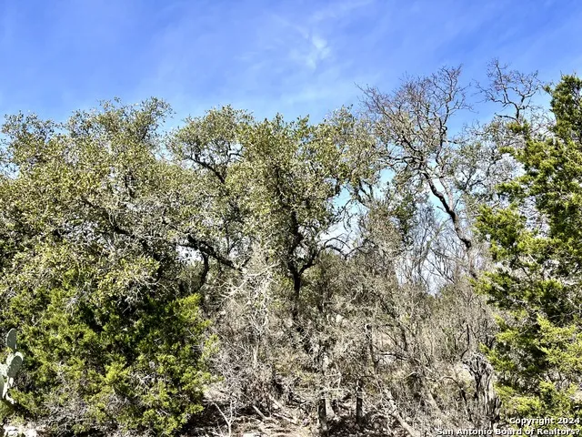 0 SD63538 Rocksprings, TX 78880