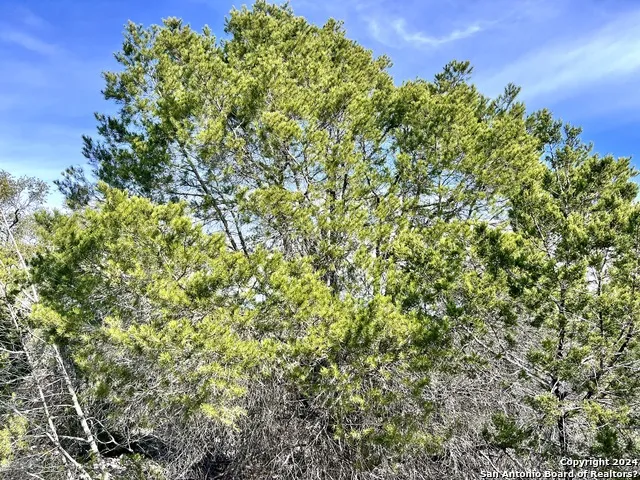 0 SD63538 Rocksprings, TX 78880