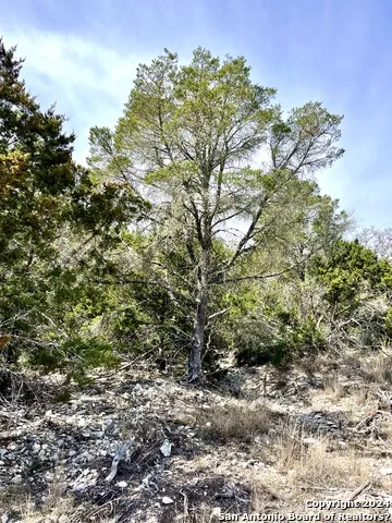 0 SD63538 Rocksprings, TX 78880
