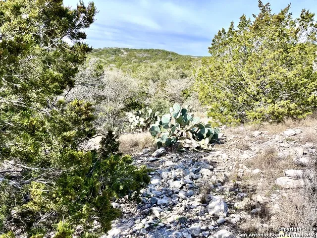 0 SD63538 Rocksprings, TX 78880
