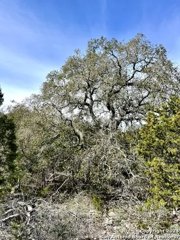 0 SD63538 Rocksprings, TX 78880