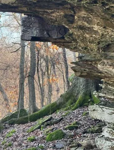 2 W Fern Mountain Road Muskogee, OK 74401