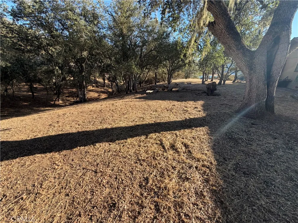 8100 Boat Hook Bradley, CA 93426