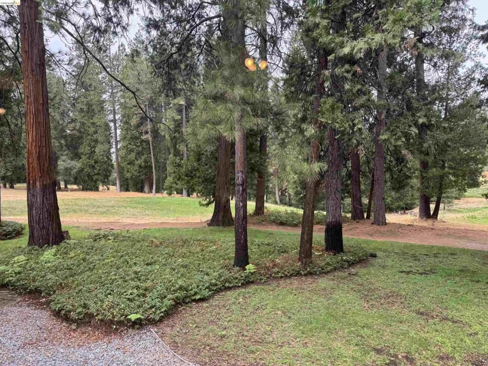 1128 Fairway Ct Murphys, CA 95247