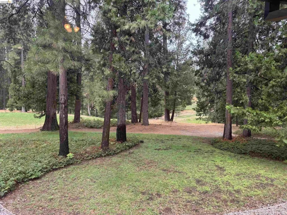 1128 Fairway Ct Murphys, CA 95247