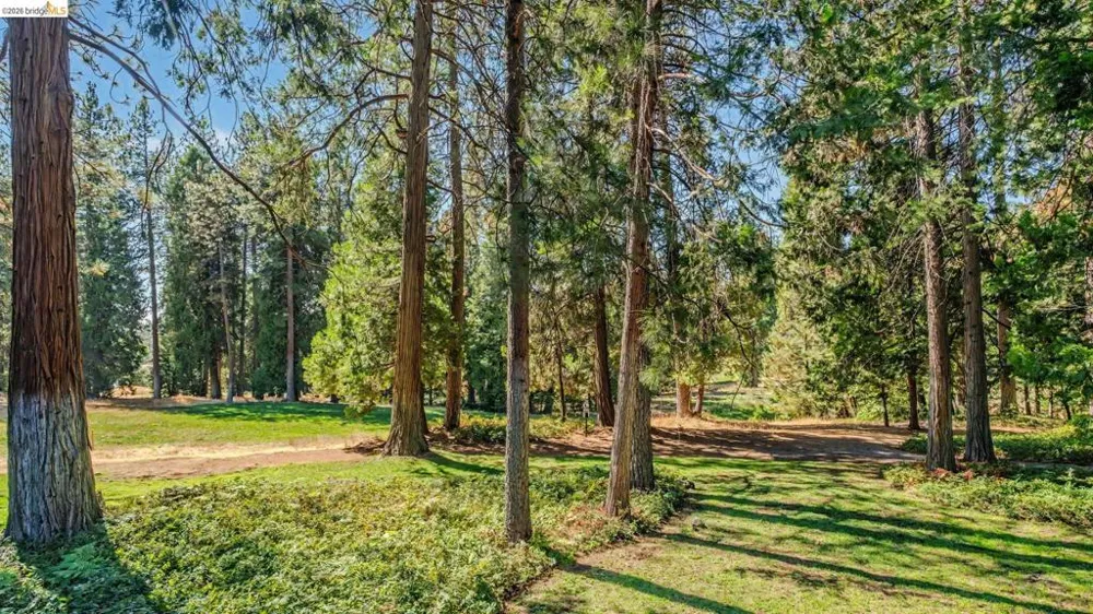 1128 Fairway Ct Murphys, CA 95247