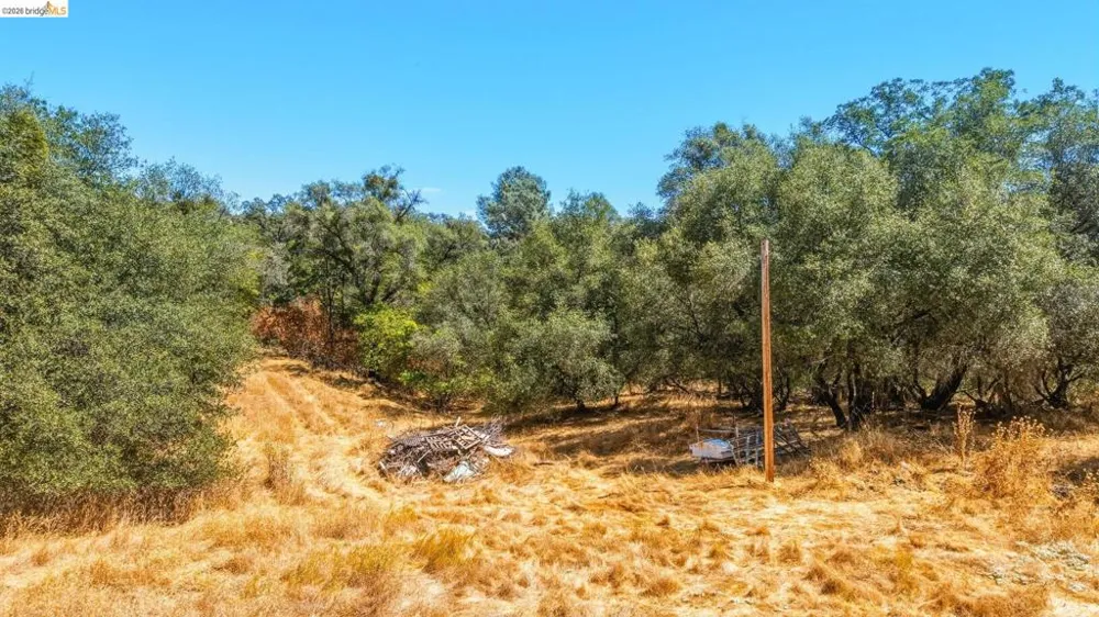 20510 Tuttletown Rd. Sonora, CA 95370