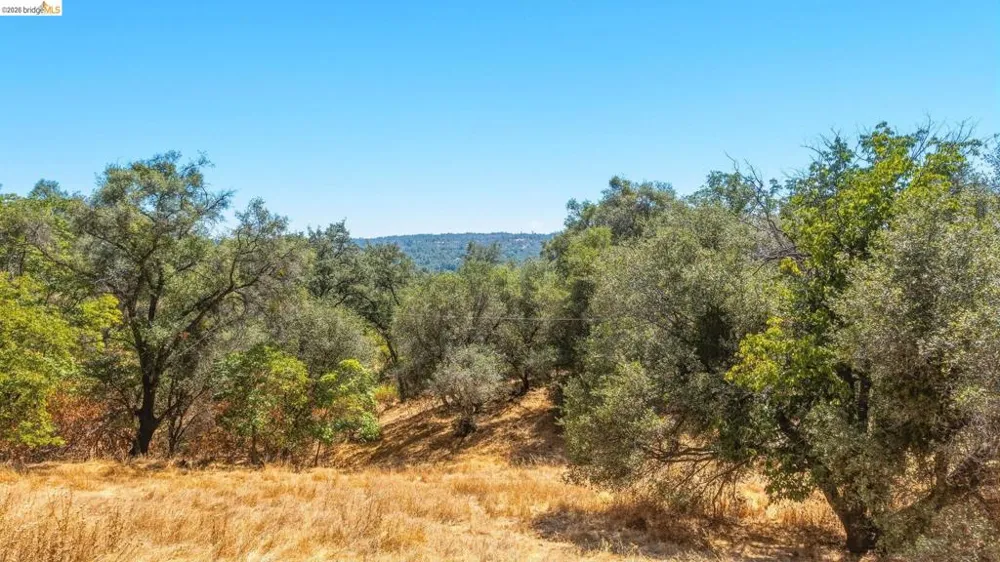 20510 Tuttletown Rd. Sonora, CA 95370