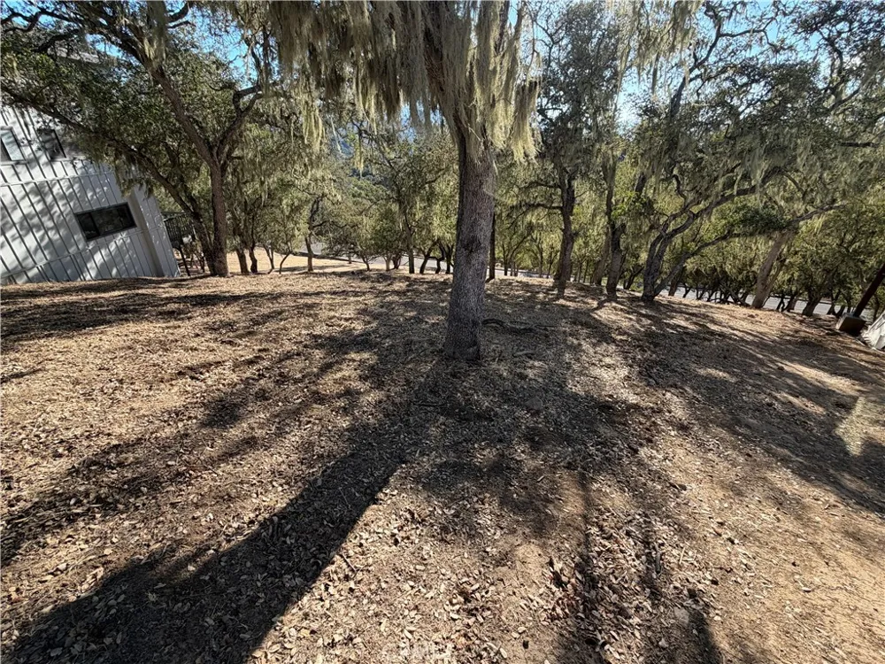 2171 Ridge Rider Road Bradley, CA 93426