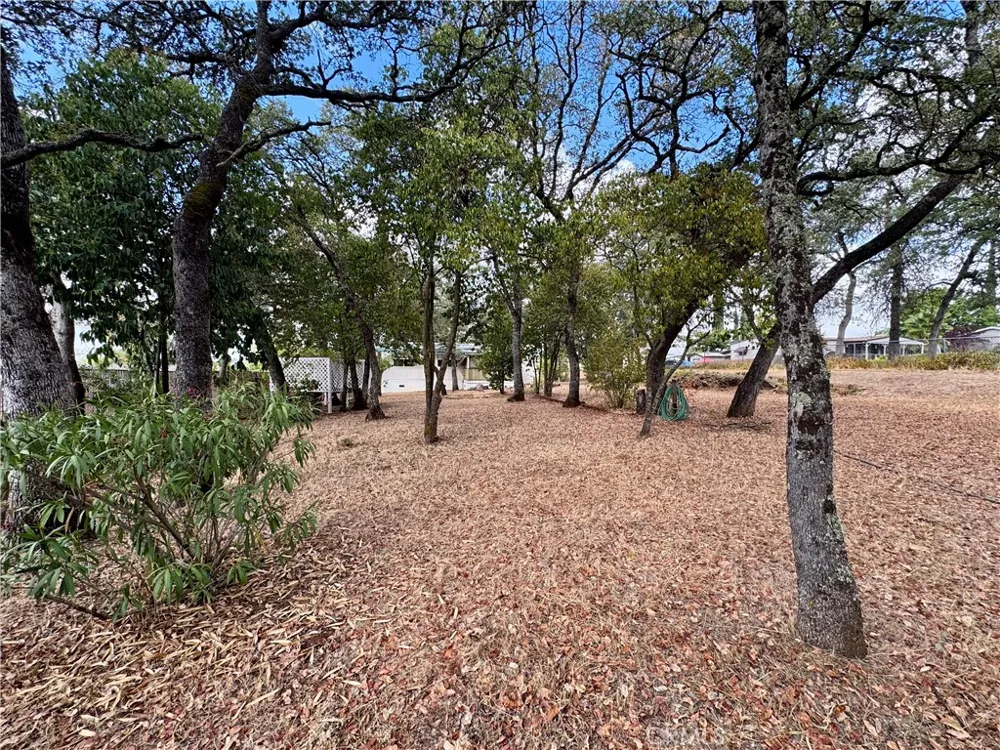 2645 Monte Vista Avenue Oroville, CA 95966