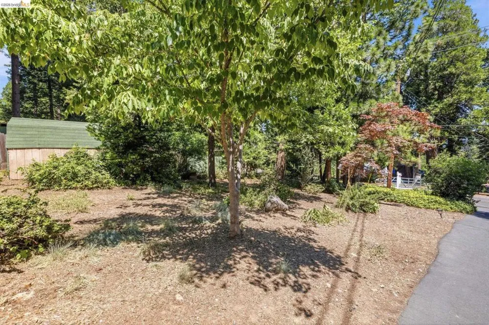 19922 Middle Camp Sugarpine RD Mi Wuk Village, CA 95346