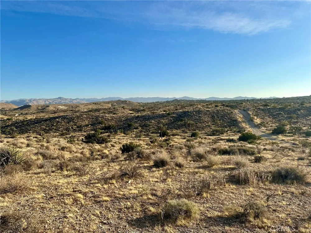 1234 Indian Trl 29 Palms, CA 92277