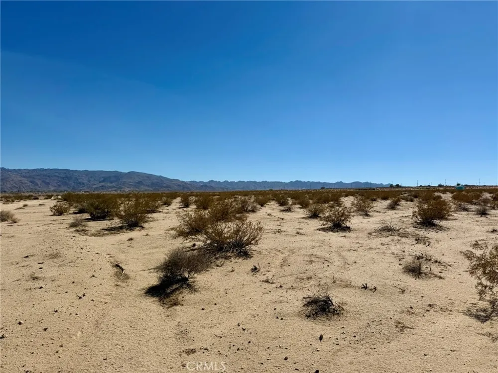1234 Indian Trl 29 Palms, CA 92277