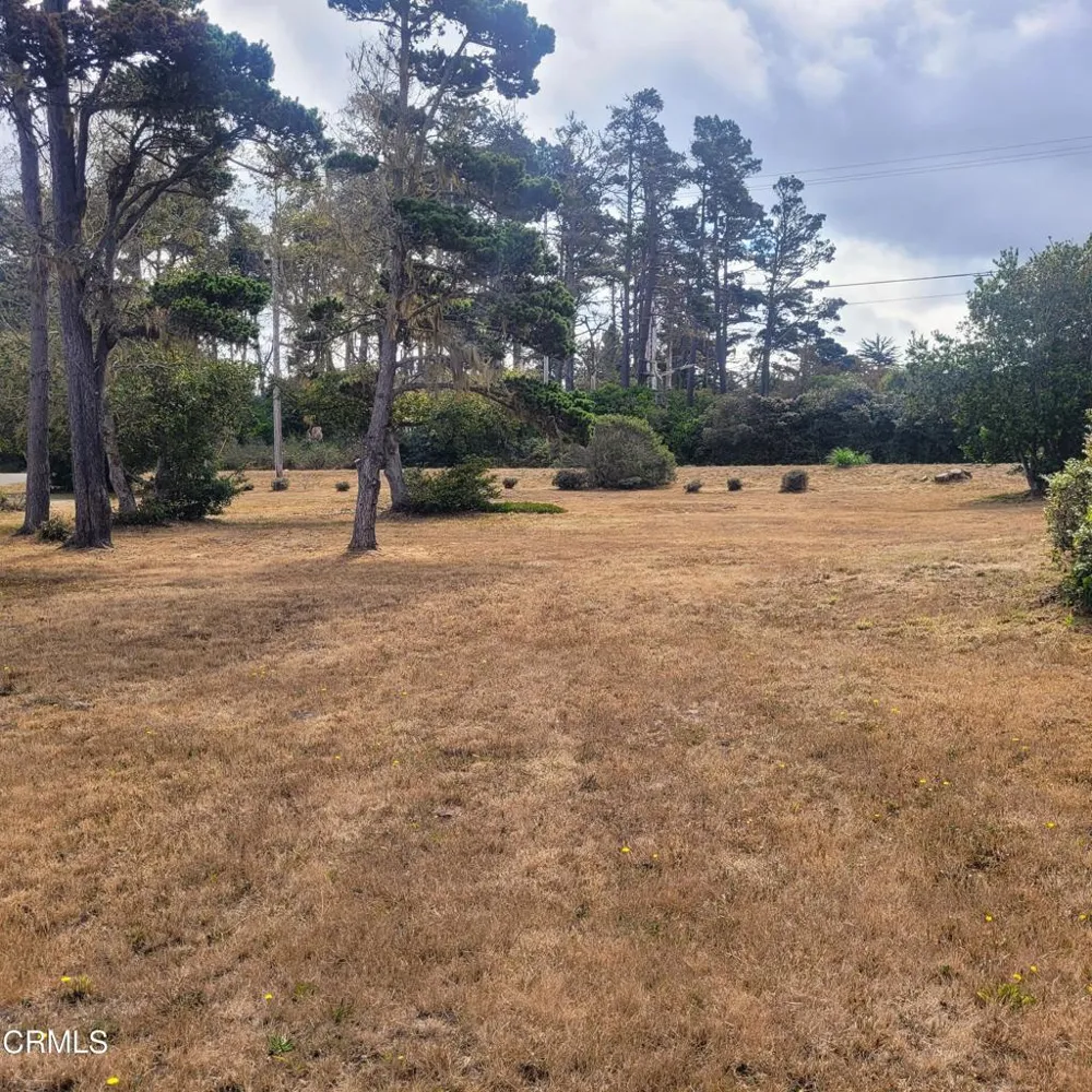 23650 North Highway 1 Fort Bragg, CA 95437