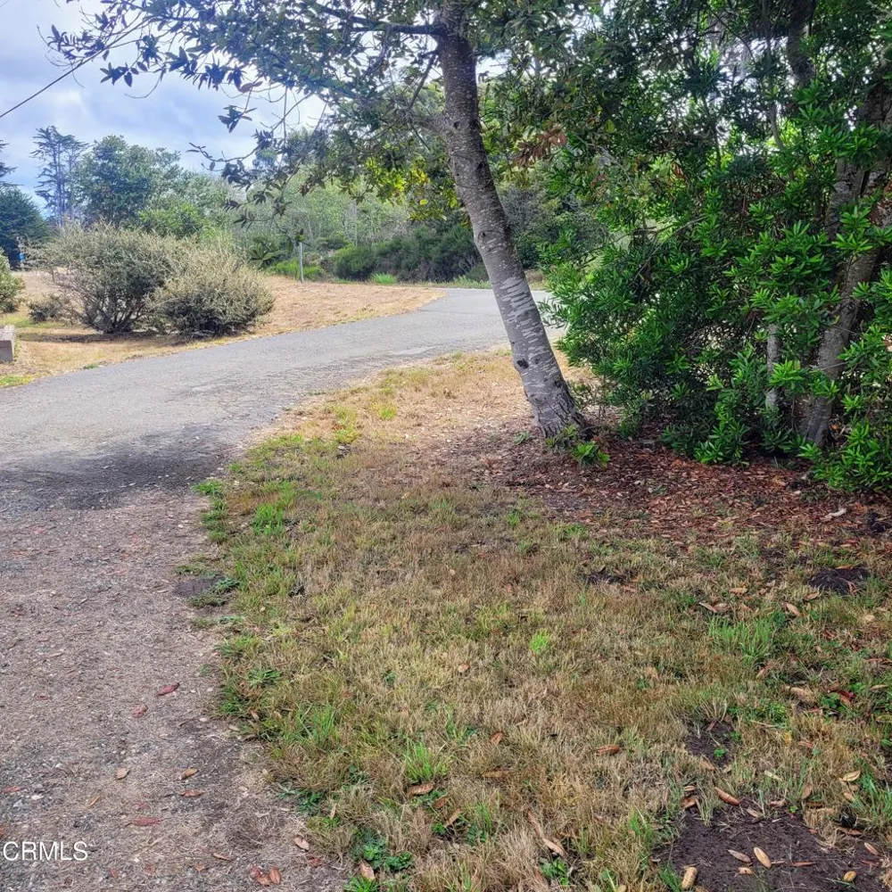 23650 North Highway 1 Fort Bragg, CA 95437
