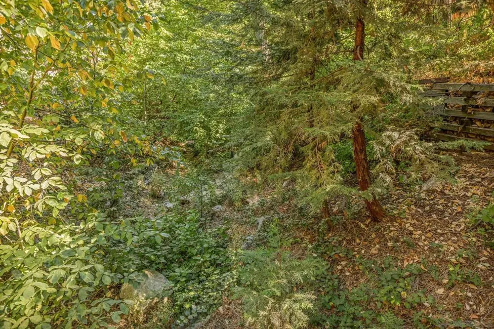 625 Cottage Grove Rd Lake Arrowhead, CA 92352