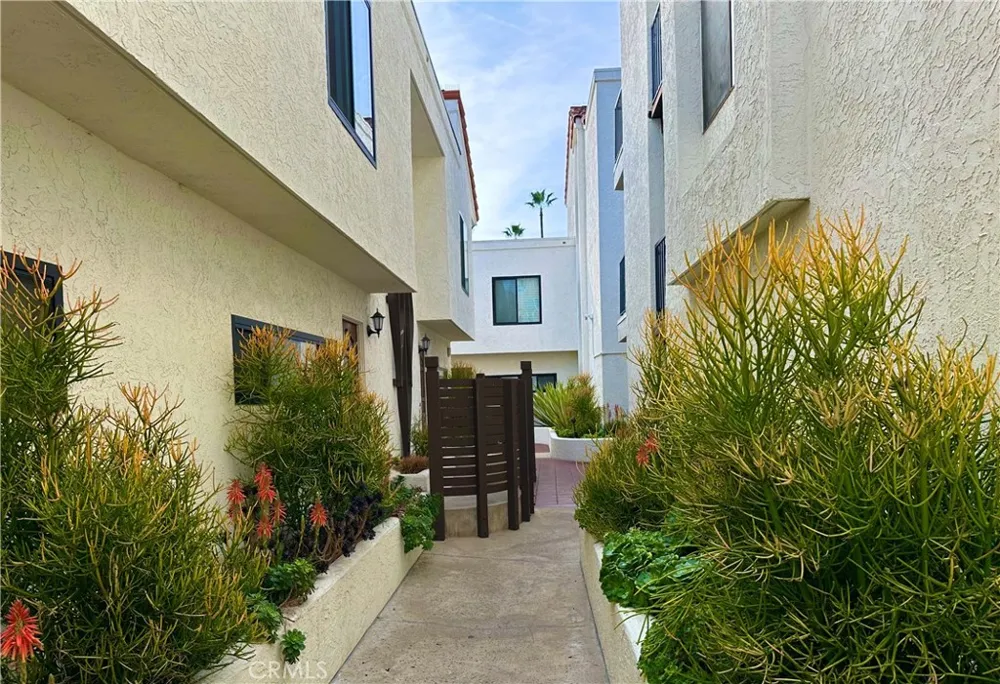 3525 Lebon Drive #204 San Diego, CA 92122