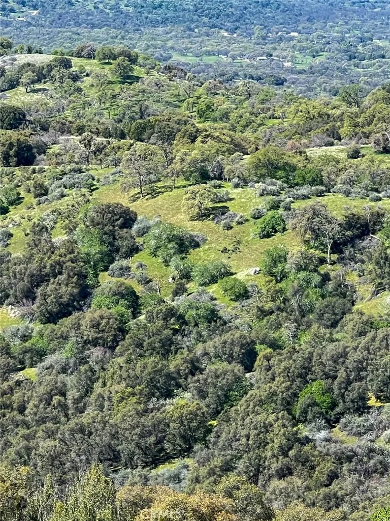 44981 Todd Eymann Road Miramonte, CA 93641