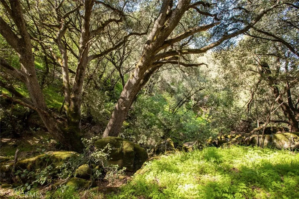44981 Todd Eymann Road Miramonte, CA 93641