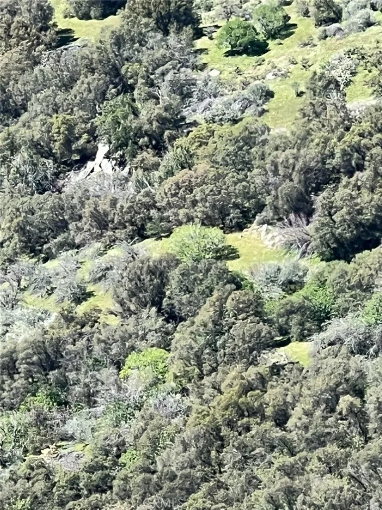 44981 Todd Eymann Road Miramonte, CA 93641