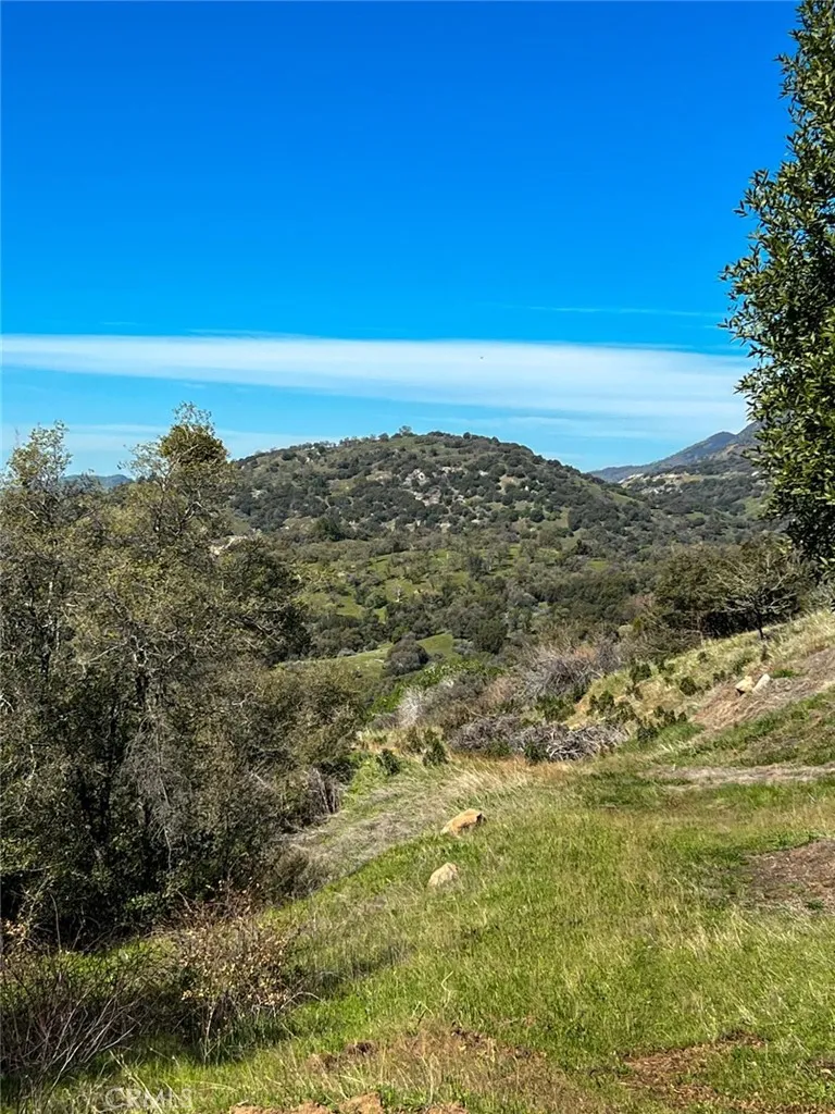 44981 Todd Eymann Road Miramonte, CA 93641