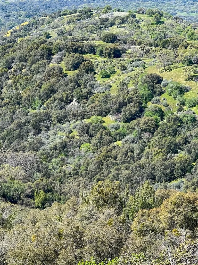 44981 Todd Eymann Road Miramonte, CA 93641