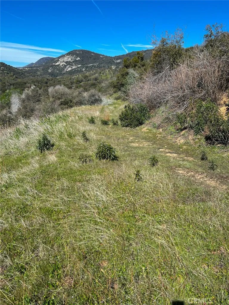 44981 Todd Eymann Road Miramonte, CA 93641