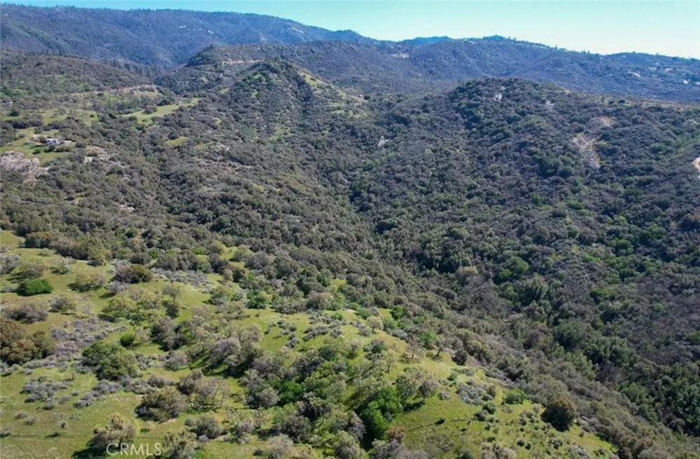 44981 Todd Eymann Road Miramonte, CA 93641