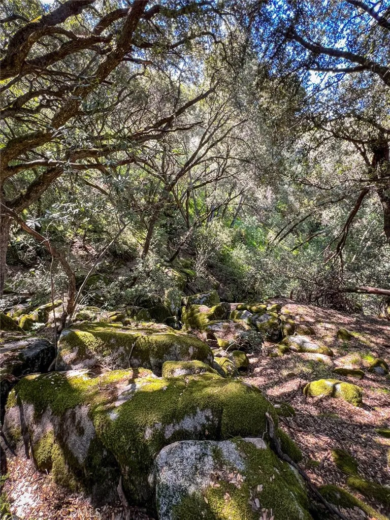44981 Todd Eymann Road Miramonte, CA 93641