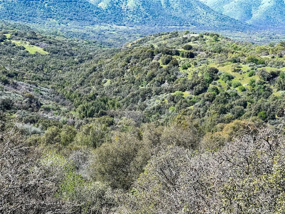 44981 Todd Eymann Road Miramonte, CA 93641