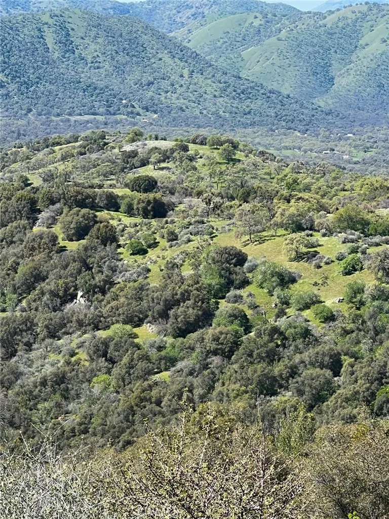 44981 Todd Eymann Road Miramonte, CA 93641