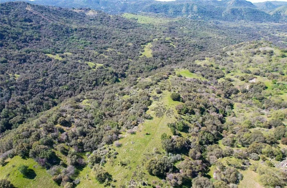 44981 Todd Eymann Road Miramonte, CA 93641