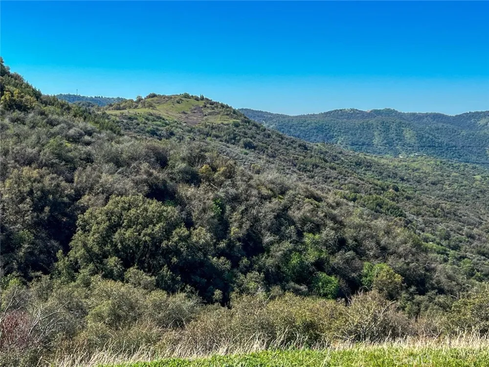 44981 Todd Eymann Road Miramonte, CA 93641