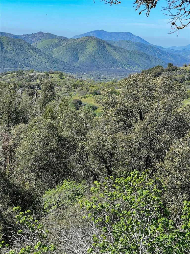 44981 Todd Eymann Road Miramonte, CA 93641