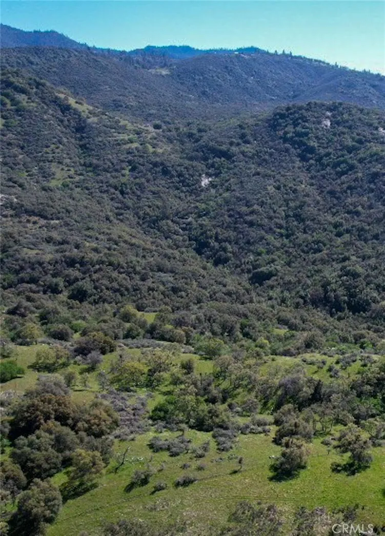 44981 Todd Eymann Road Miramonte, CA 93641