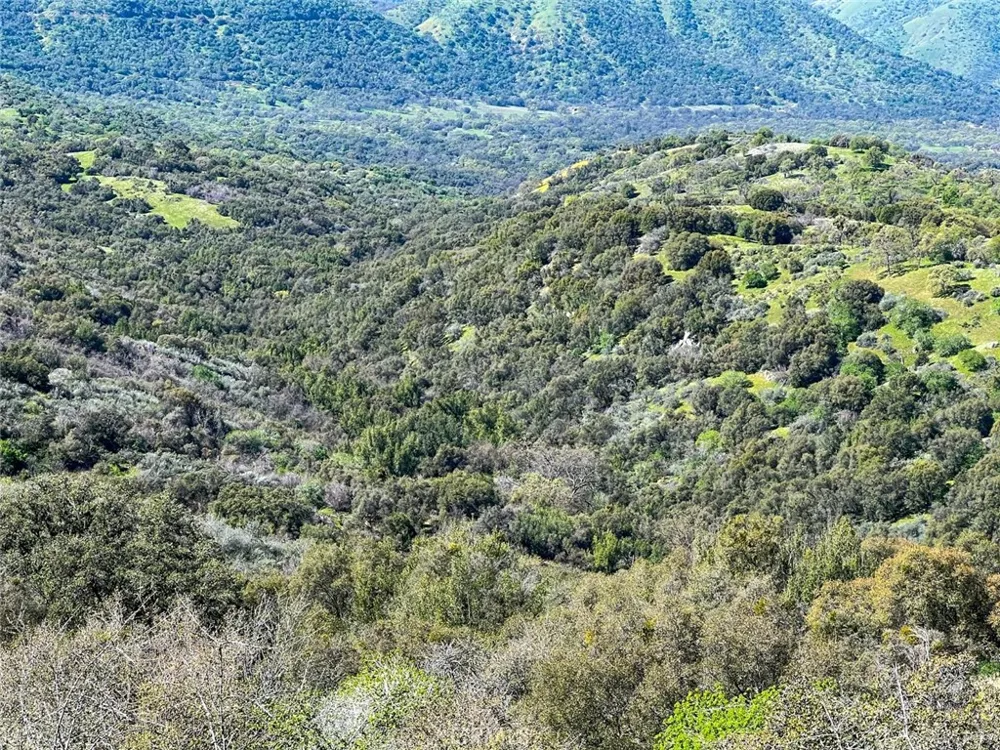 44981 Todd Eymann Road Miramonte, CA 93641