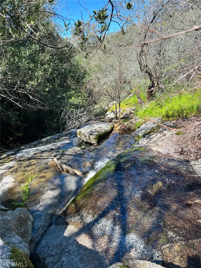 44981 Todd Eymann Road Miramonte, CA 93641