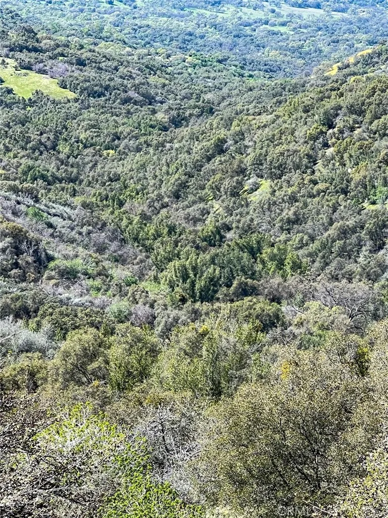 44981 Todd Eymann Road Miramonte, CA 93641