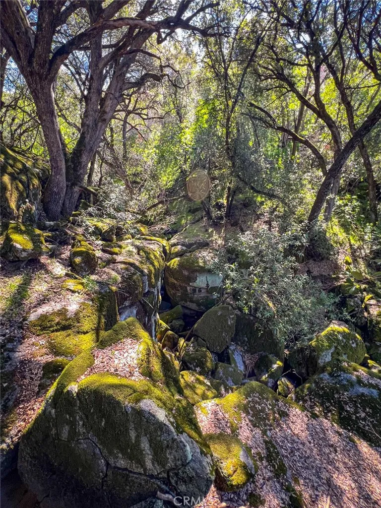 44981 Todd Eymann Road Miramonte, CA 93641