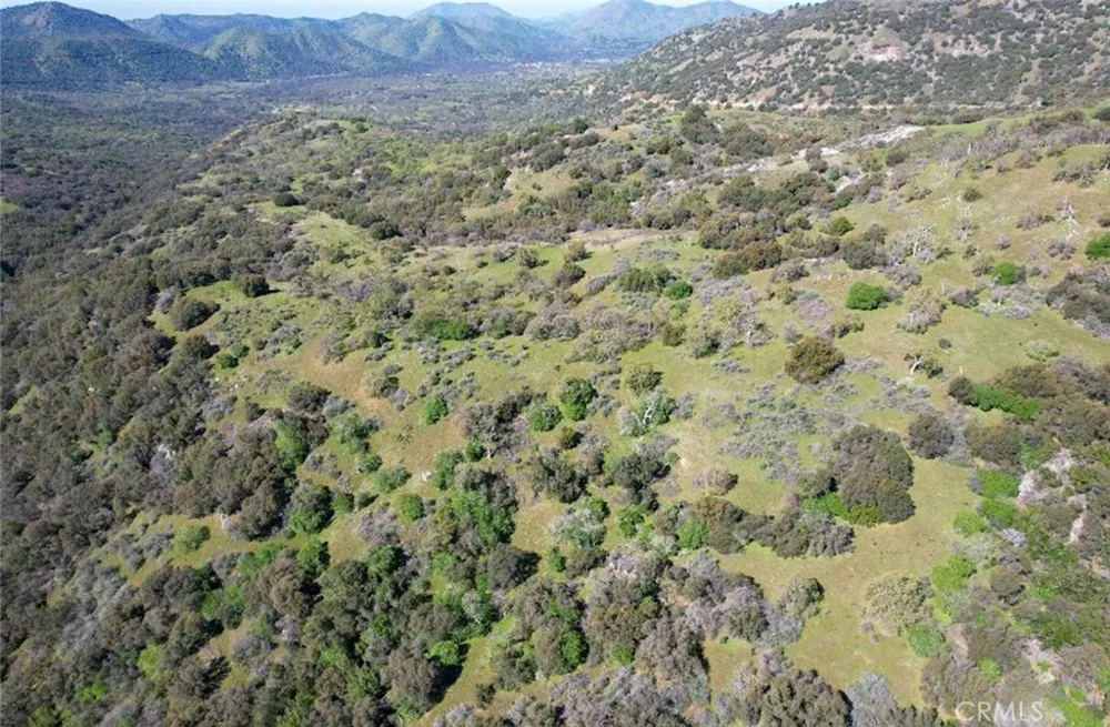 44981 Todd Eymann Road Miramonte, CA 93641