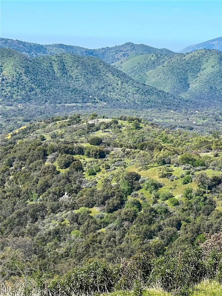 44981 Todd Eymann Road Miramonte, CA 93641