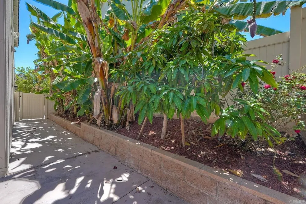 629 Amarra Lane Vista, CA 92083