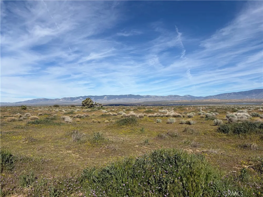 Drylake Fairmont, CA 93536