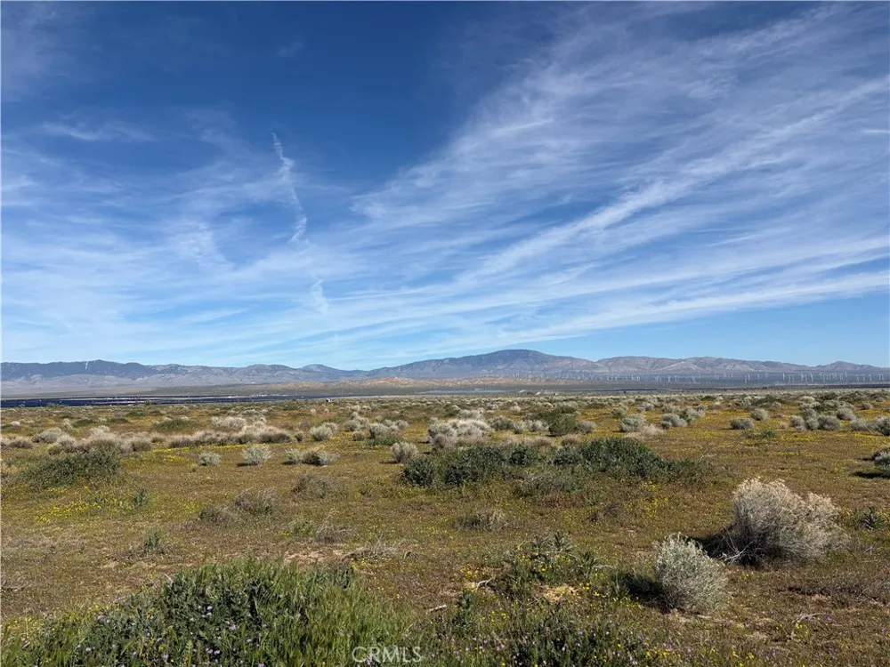 Drylake Fairmont, CA 93536