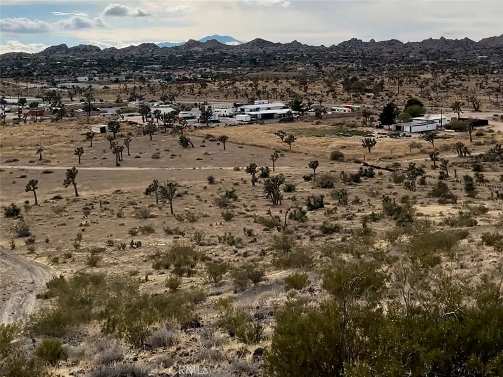 1234 Terra Vista Yucca Valley, CA 92284