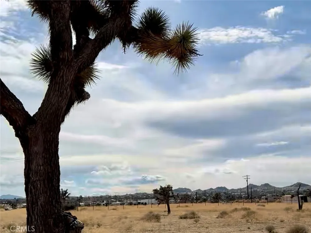 1234 Terra Vista Yucca Valley, CA 92284