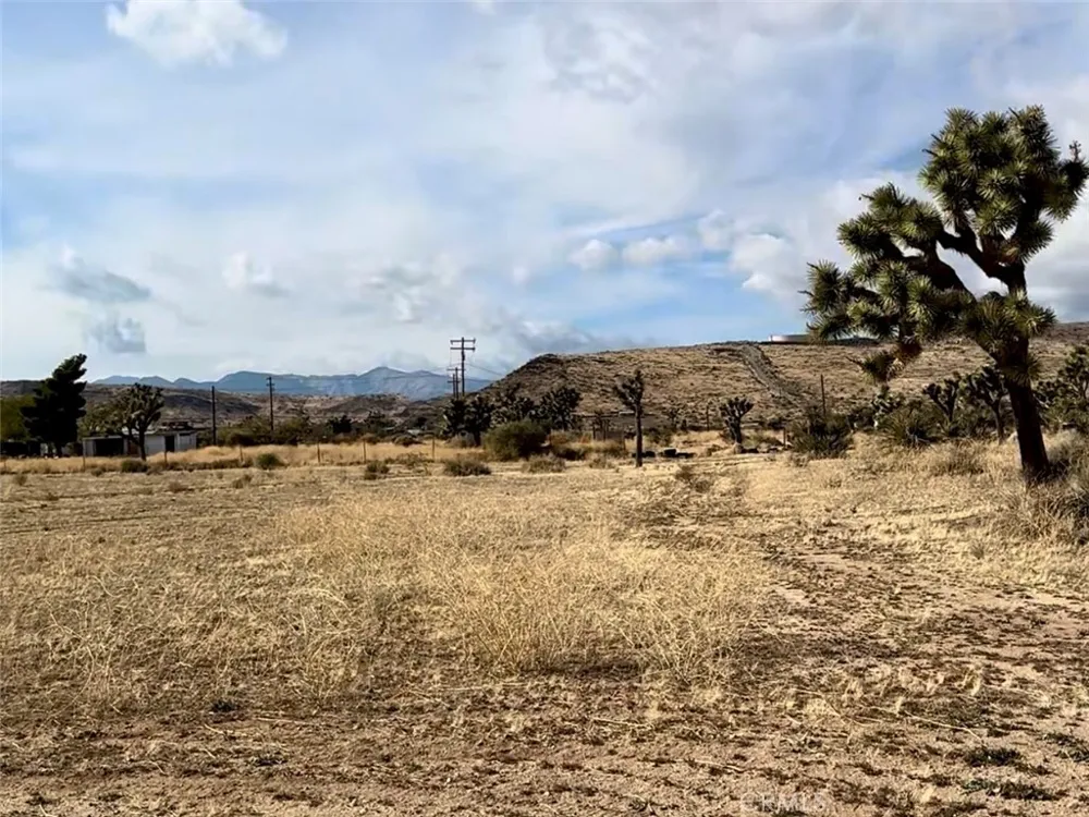 1234 Terra Vista Yucca Valley, CA 92284
