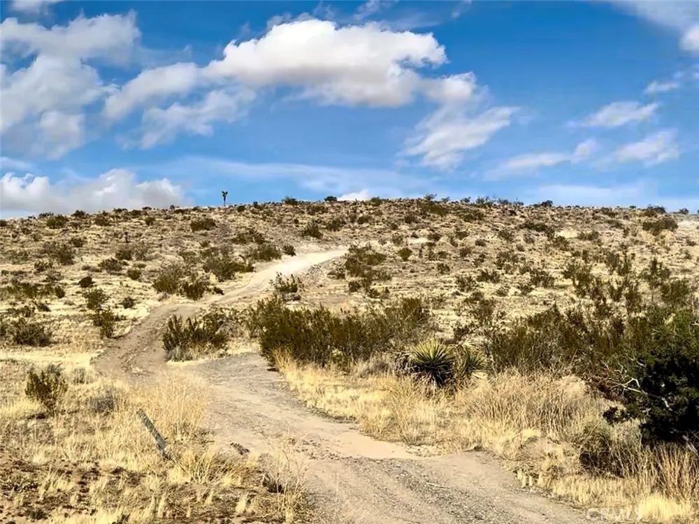 1234 Terra Vista Yucca Valley, CA 92284